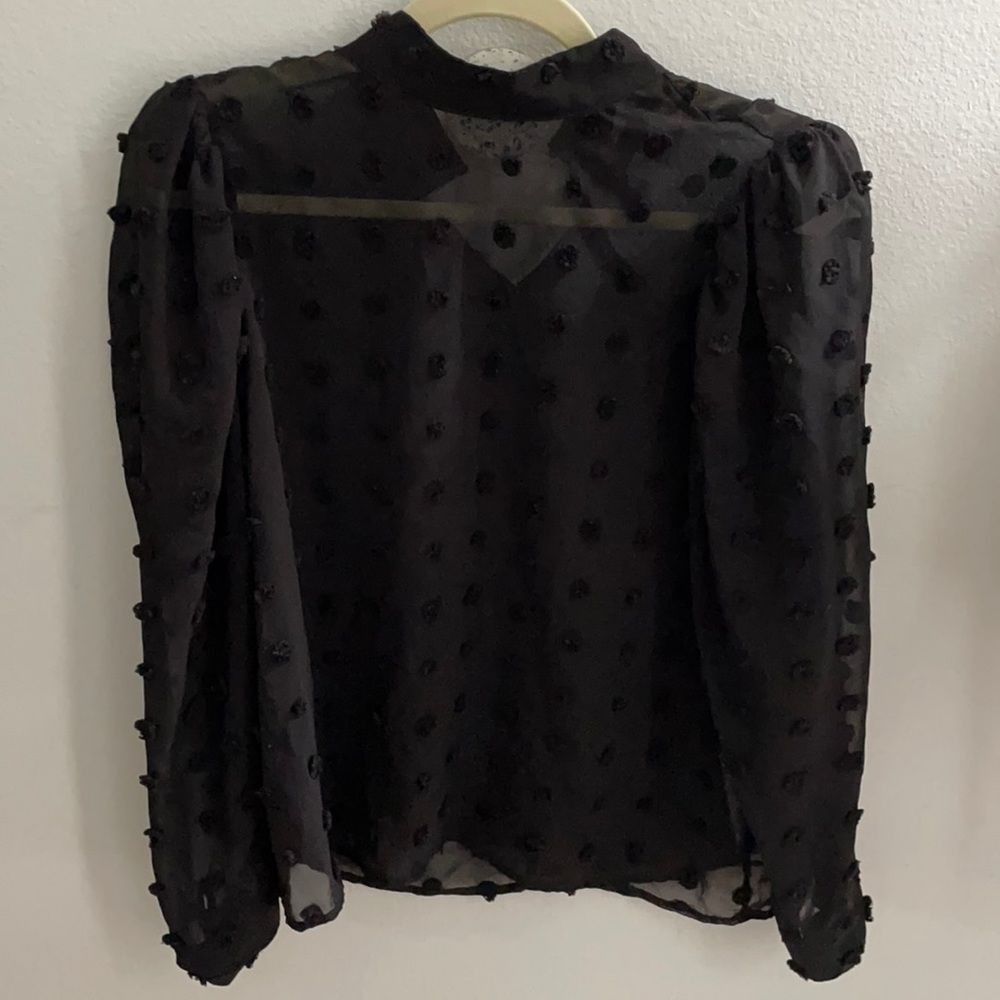 Zara polka dot sheer top